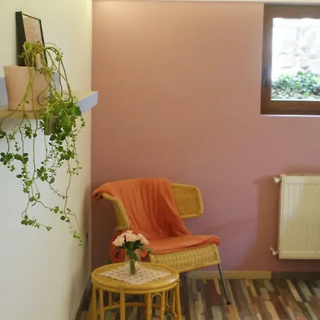 Rianas Utca Palkove Appartement *