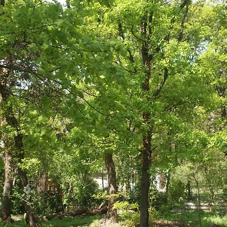 Rianas Utca Palkove Apartment Balatonrendes